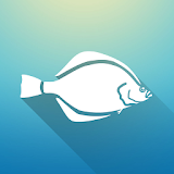 Eesti kalad icon