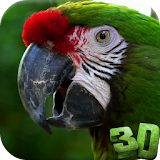 Parrot 3D Video Live Wallpaper icon