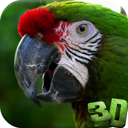 Parrot 3D Video Live Wallpaper ikonjának képe