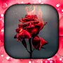 Rose Wallpaper Live HD/3D/4K