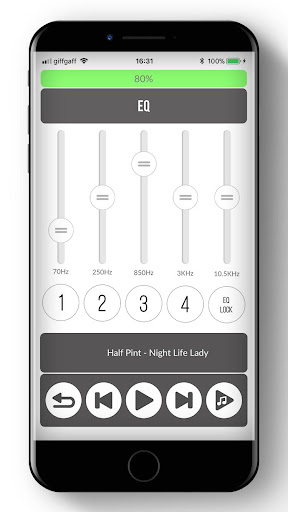 Minirig Legacy Screen 3