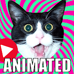 Cover Image of 下载 Animated Stickers of Cute Cats and Cat Memes. 1.0 APK