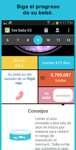 Logo https://play-lh.googleusercontent.com/prHFJYLRXiOFgiISL7nrJetcpEDsTME79cZWailBnc0W4lPALPL252YVFDNP9h_AX1g