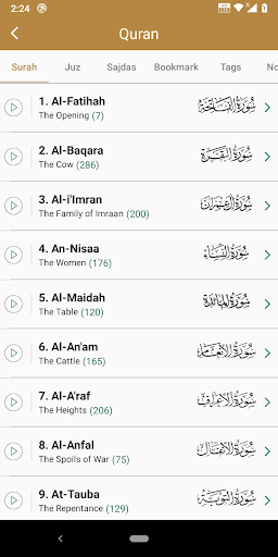 Al Quran - القرآن (Islam) Screen 2