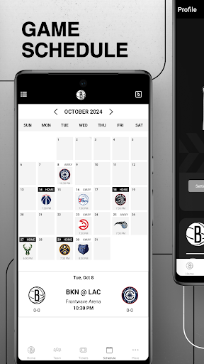 Screenshot of Brooklyn Nets/Barclays Center