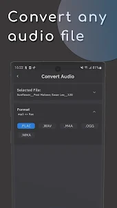 Audio Converter - All Support