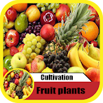 Cover Image of डाउनलोड cultivation fruits plants  APK