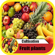 cultivation fruits plants