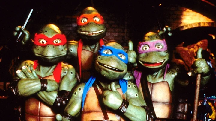 Teenage Mutant Ninja Turtles 2 Movies On Google Play