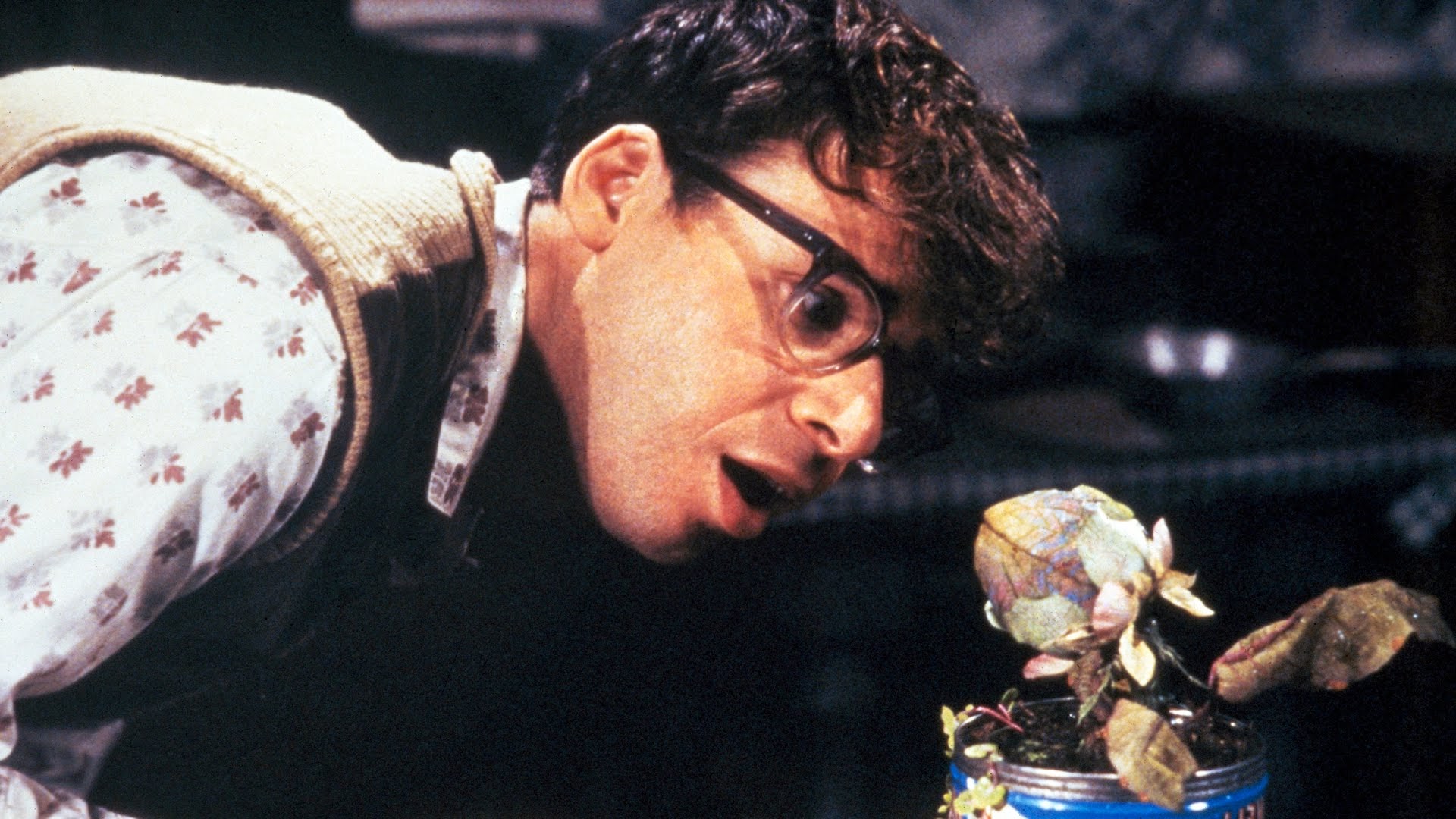 Little Shop of Horrors (1986) - Google Play 영화