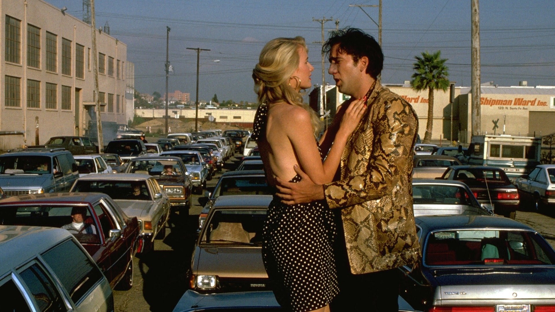 Wild at Heart - Movies on Google Play
