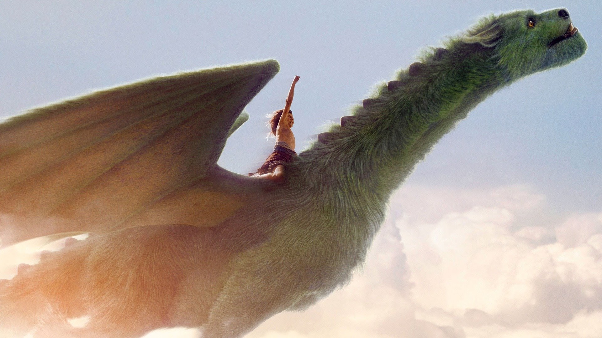 Pete s Dragon 2016 Movies on Google Play