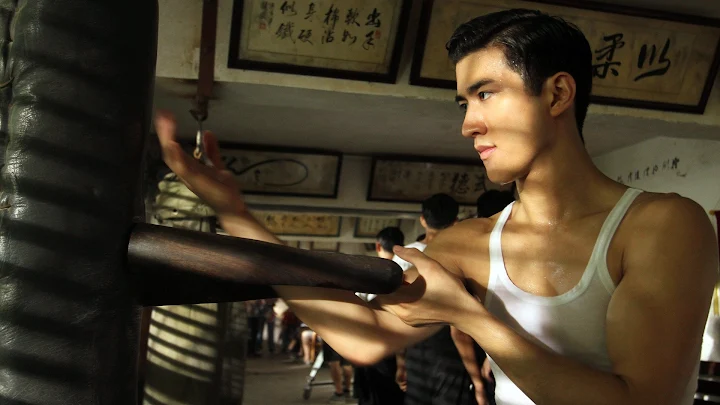 Bruce Lee My Brother Film Di Google Play
