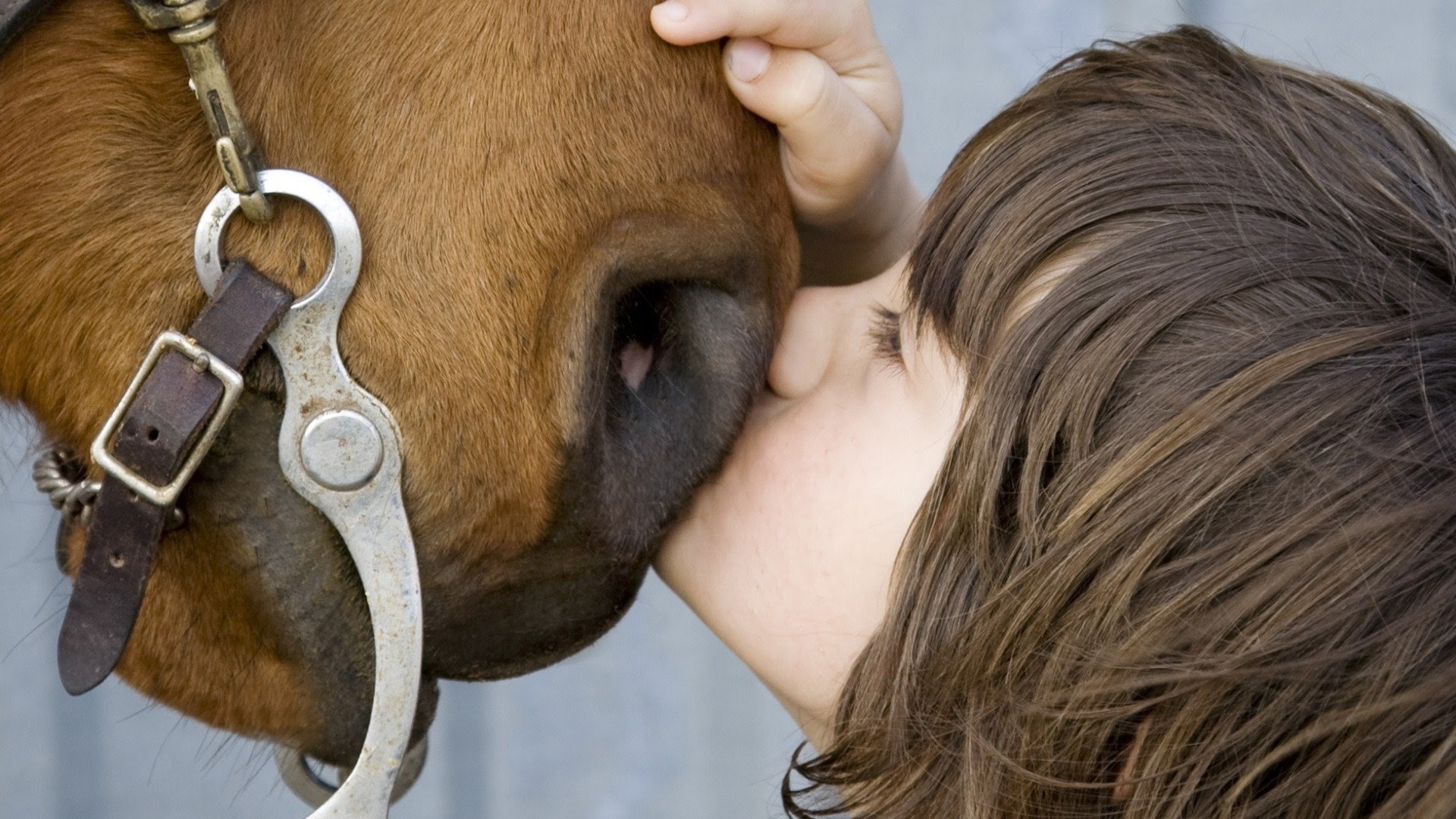 The horse boy full movie online free outlet