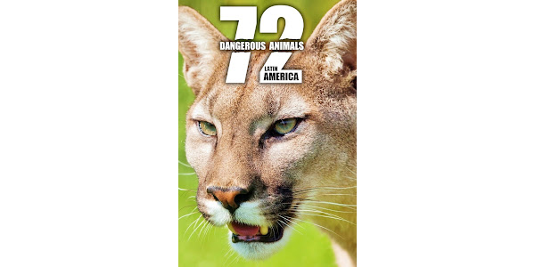 72 Dangerous Animals: Latin America - TV on Google Play