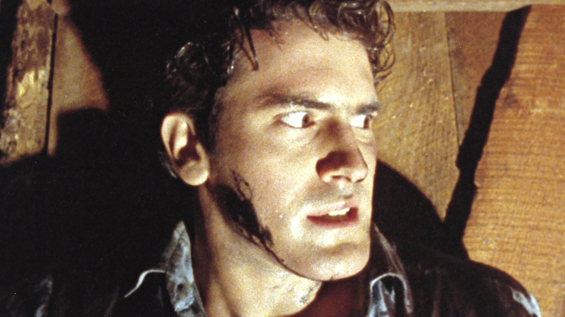 The Evil Dead - Movies on Google Play