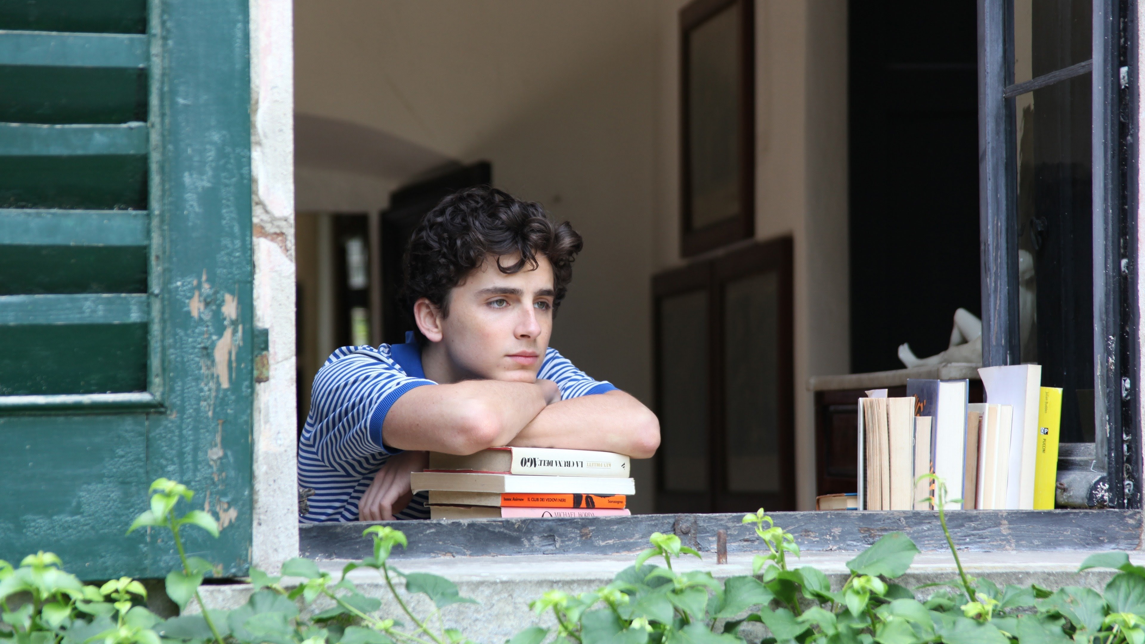 Call Me by Your Name - Movies on Google Play