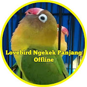 Lovebird Ngekek Panjang Terbaru