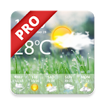 Cover Image of ダウンロード Weather Real-time Forecast Pro  APK