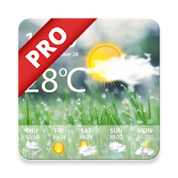 Weather Pro - Weather Real-time Forecast