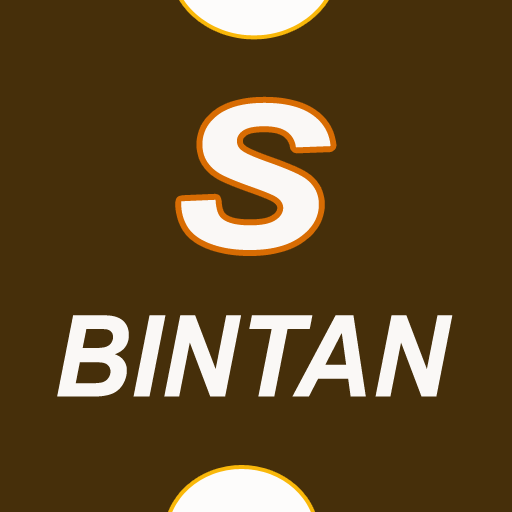 SALSA BINTAN Video Offline logo