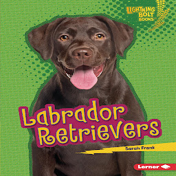 Icoonafbeelding voor Labrador Retrievers