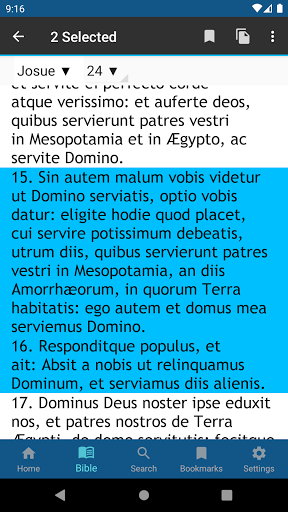 Biblia Sacra Vulgata Screen 3