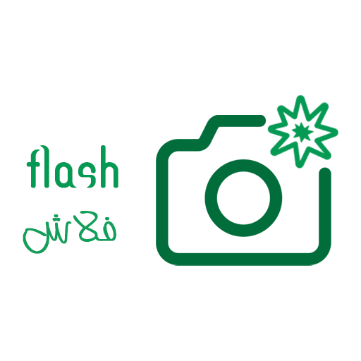flash logo