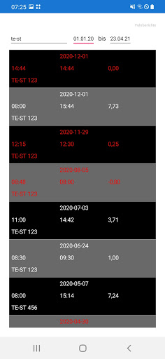 Fuhrbericht Report Screen 2