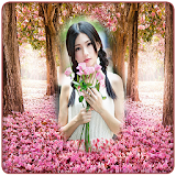 Sakura Photo Frames icon