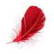 Feathers 3D live wallpaper - Androidアプリ