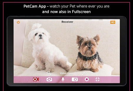 PetCam App - Dog Camera App Varies with device APK screenshots 18