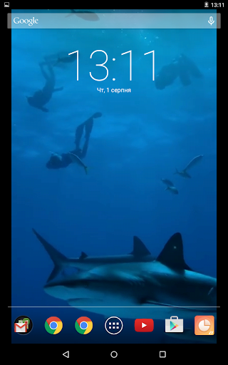 Tiger Sharks Live Wallpaper