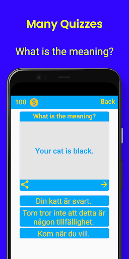 Swedish Phrases Screen 3