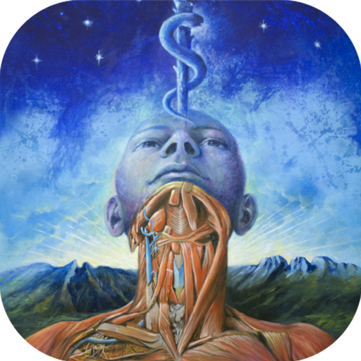 Sociedad Mexicana de Anatomía