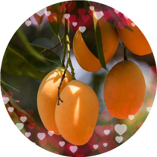 blagger mango shooter logo