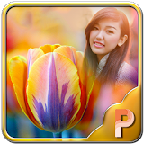 Colourful Tulips Photo Frames icon