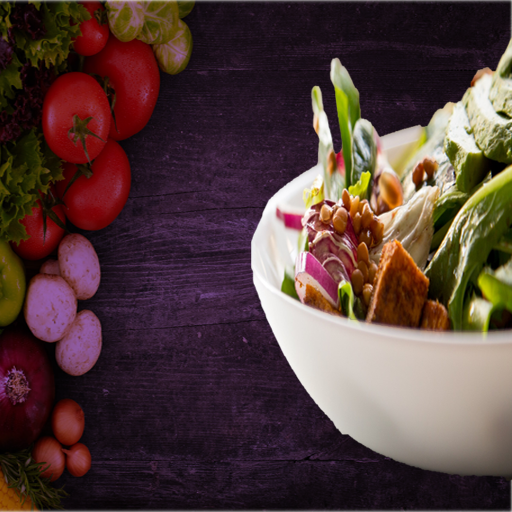 Salad Recipes - Offline logo