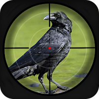 Jungle Sniper Crow Hunter
