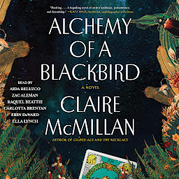 Icon image Alchemy of a Blackbird: A Novel