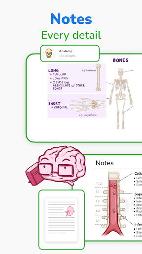 Osmosis Med Videos & Notes Screen 3