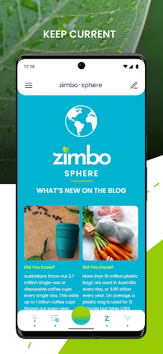 zimbo Screen 3