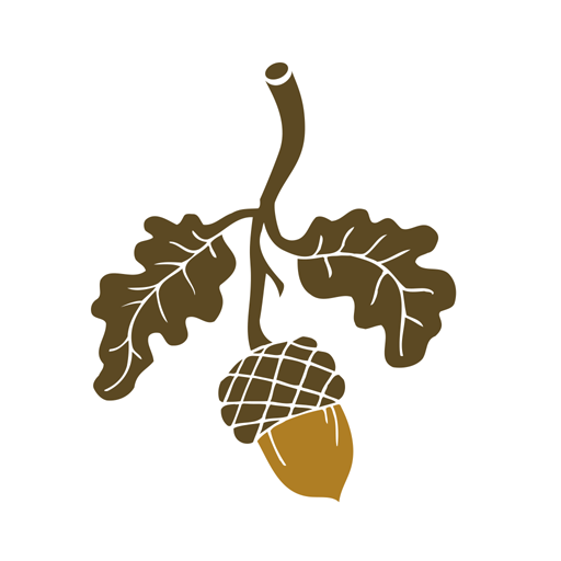 Bluejack National logo