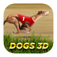 Dogs3D - Ставки на собачьи бега