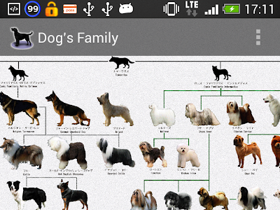 犬の系統図 286192-犬の系統図 パズル 3000