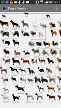 犬図鑑 Google Play のアプリ
