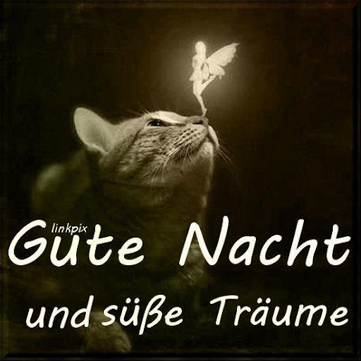 Download Gute Nacht Bilder 2021 Fur Whatsapp Free For Android Gute Nacht Bilder 2021 Fur Whatsapp Apk Download Steprimo Com