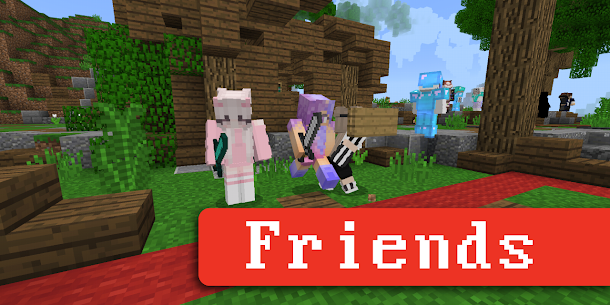 Maestro de Servidores Minecraft 3