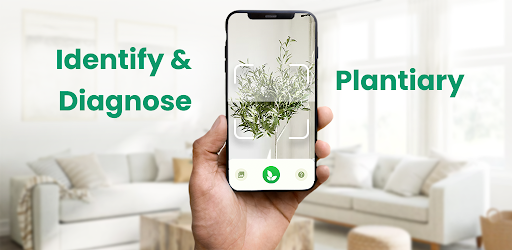 Plant Identifier: Plantiary