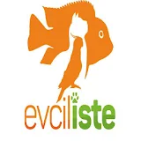 Evciliste.com icon